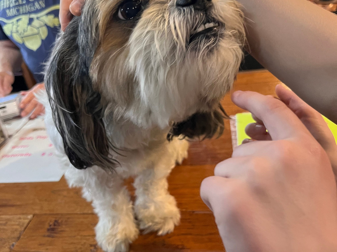 Dewey Cannon Bicycle Museum-Three Oaks必去景点