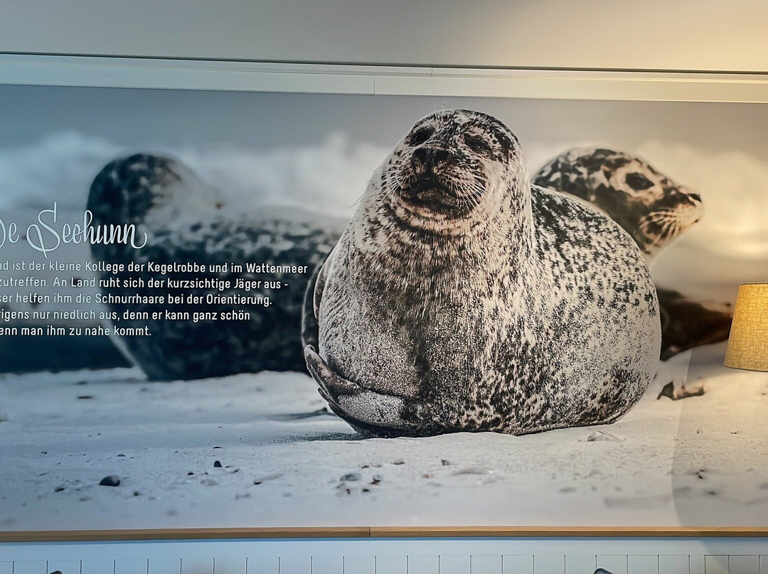 Hotel Zweite Heimat主图