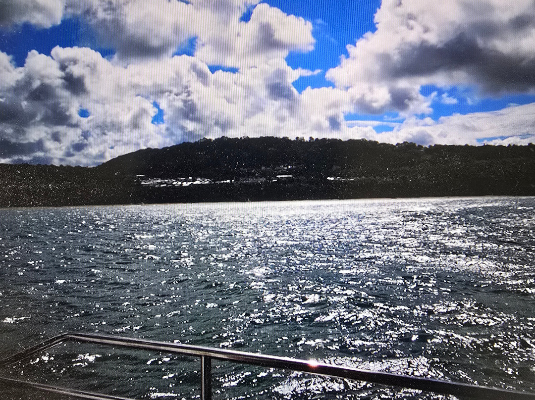 Dolphin Spotting Boat Trips (by New Quay Boat Trips)-纽基必去景点