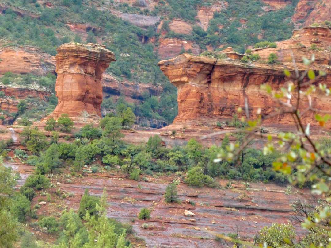 Boynton Canyon Trail-塞多纳必去景点