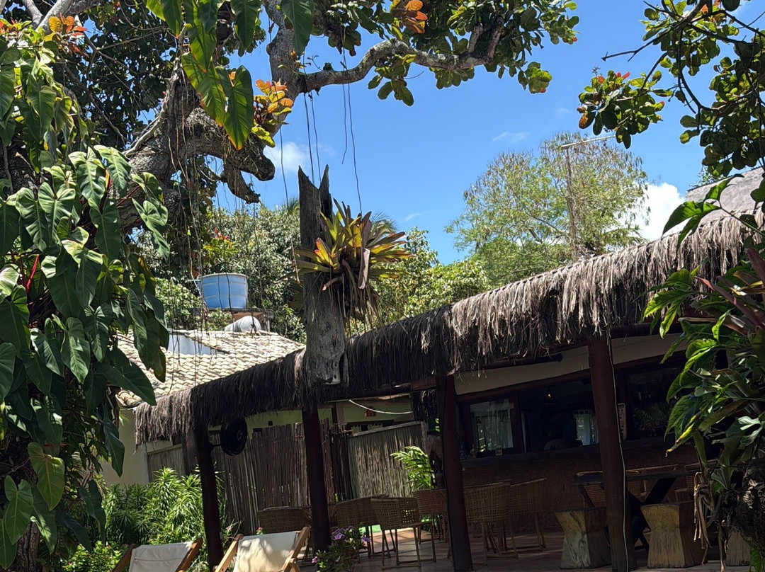 Pousada Nativa主图