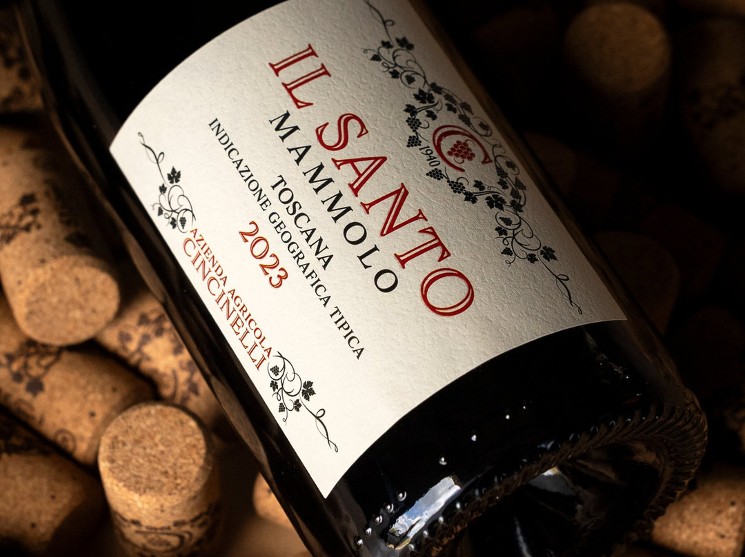 Azienda Agricola Cincinelli-Capolona必去景点