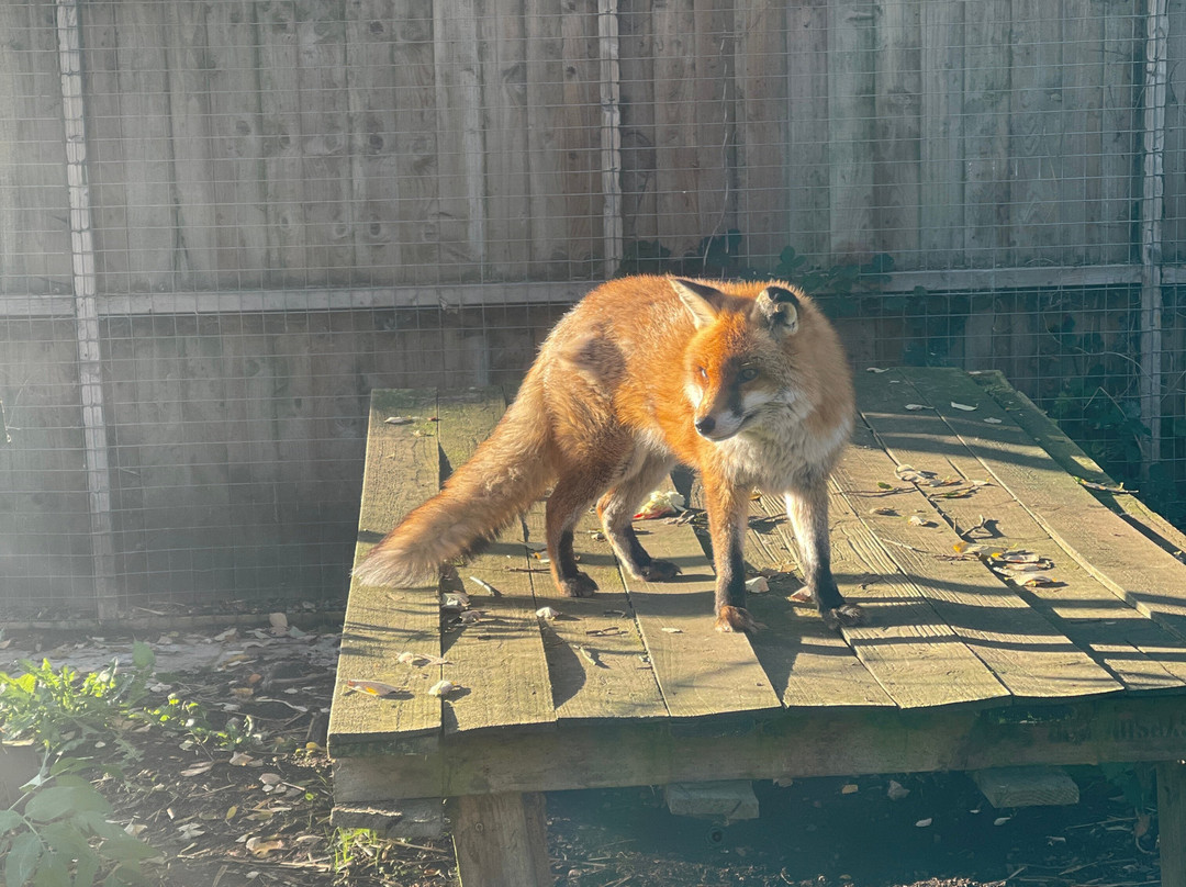 Hoo Zoo And Dinosaur World-特尔福德必去景点