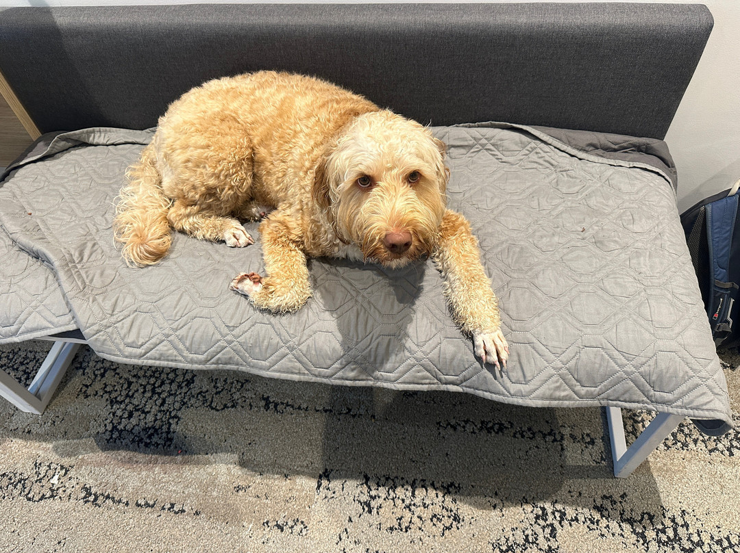 Quest North Sydney主图