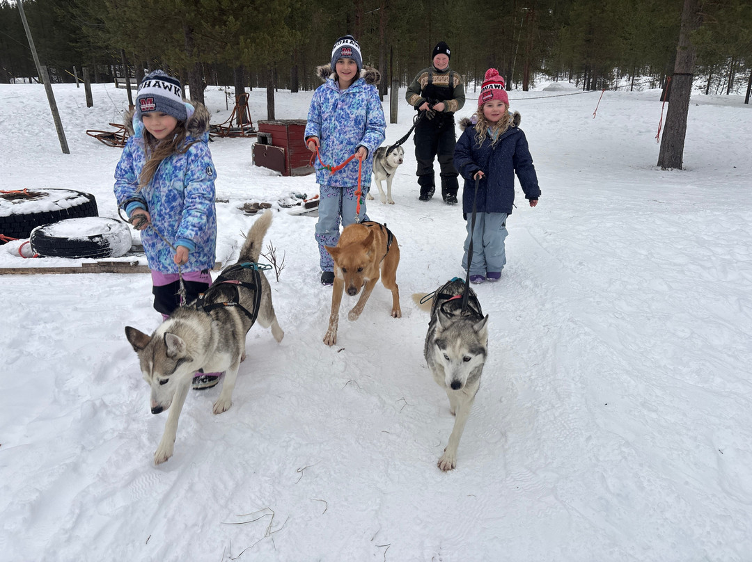 Ilonka Farm & Cafe-伊瓦洛必去景点