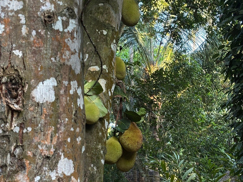 Vista Zanzibar Tours & Safaris-桑给巴尔岛必去景点