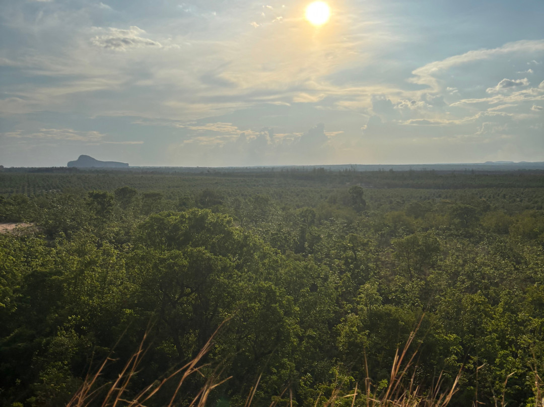 JalapaMax | Turismo-Palmas必去景点