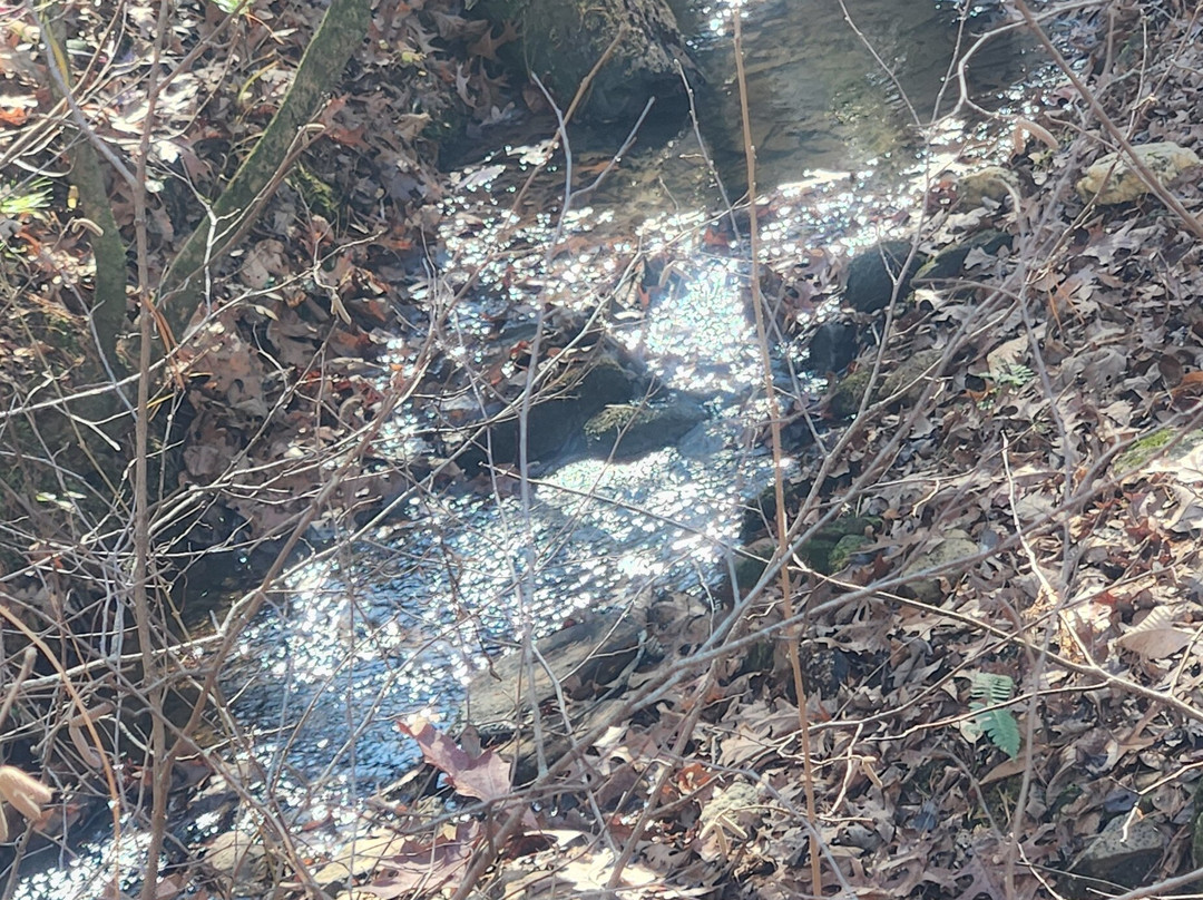 Bakers Mountain Park-希科里必去景点