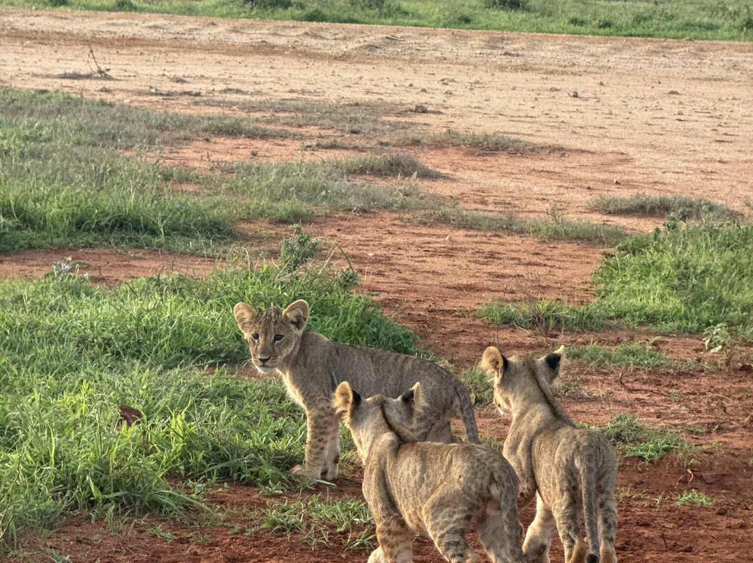 Discovery Kenya con Fragola-瓦塔木必去景点