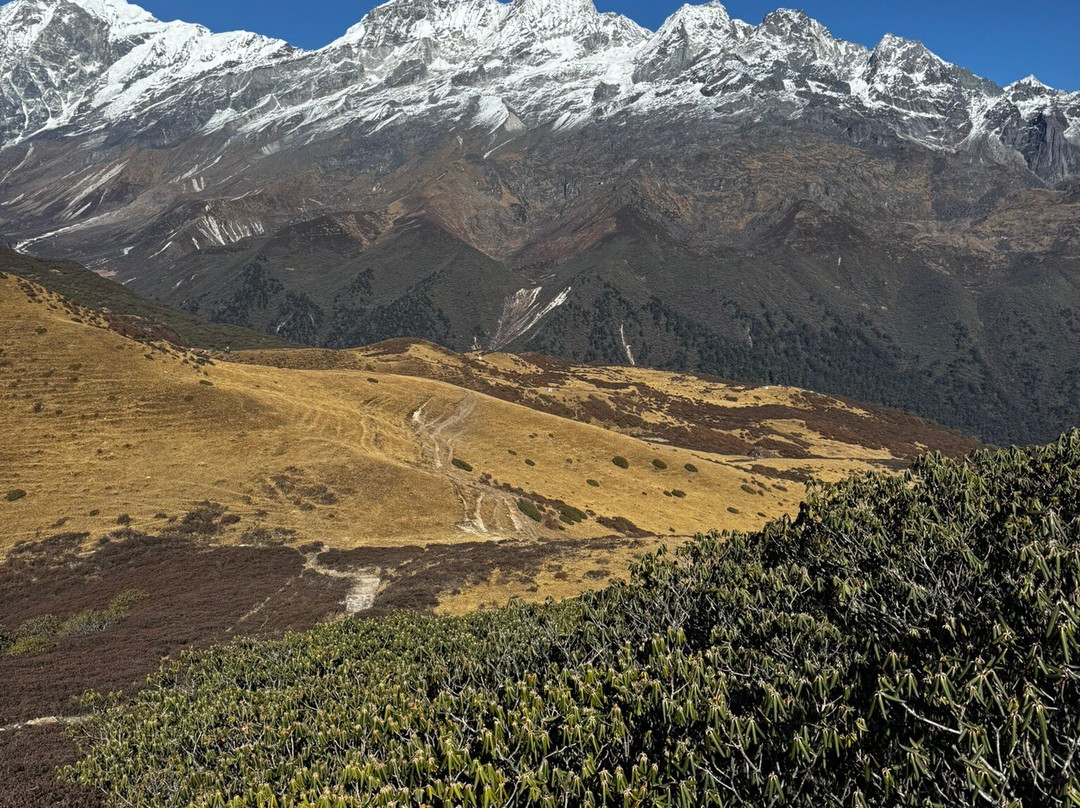 Adarsh Tours, Treks & Expeditions-甘托克必去景点