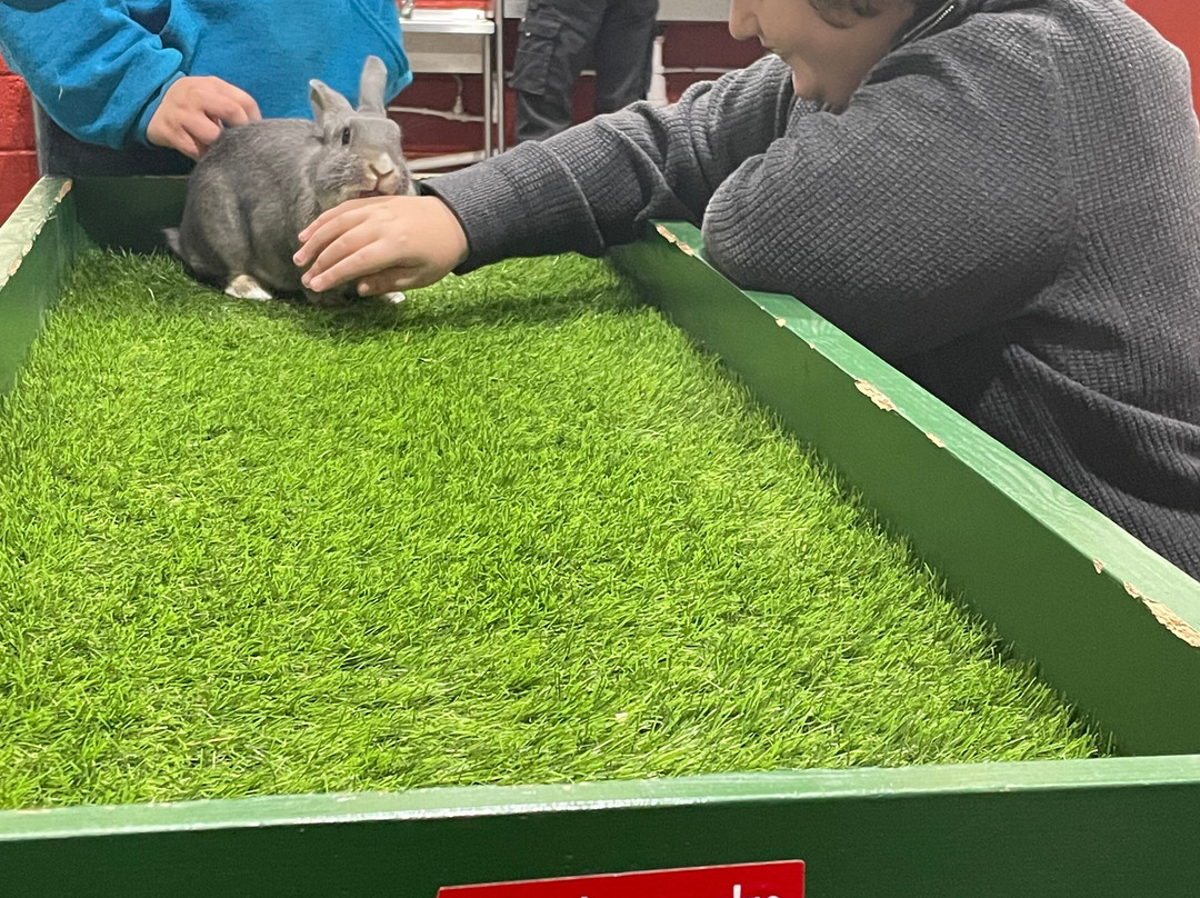 Lower Drayton Farm-Penkridge必去景点