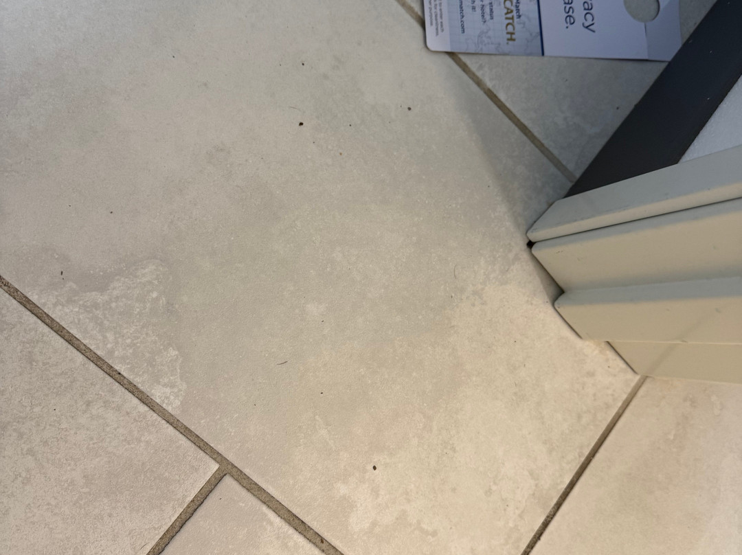 Best Western Colfax主图