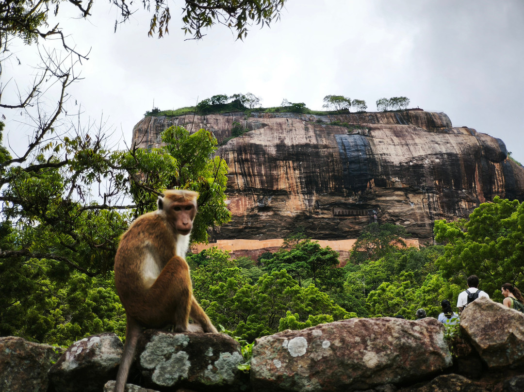 Lanka Tour Driver-Hingurakgoda必去景点