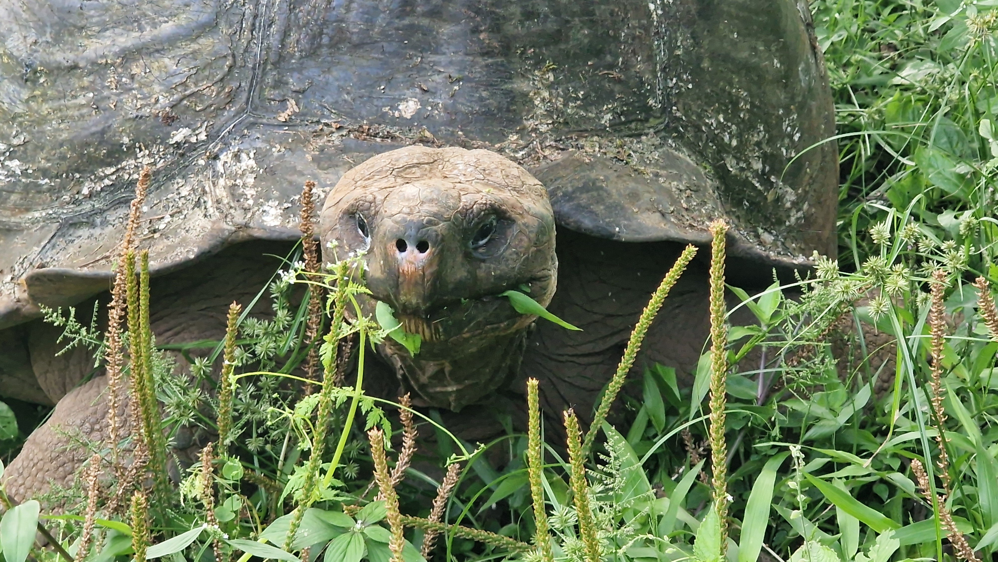瑟米拉维尔德精品酒店-浴室