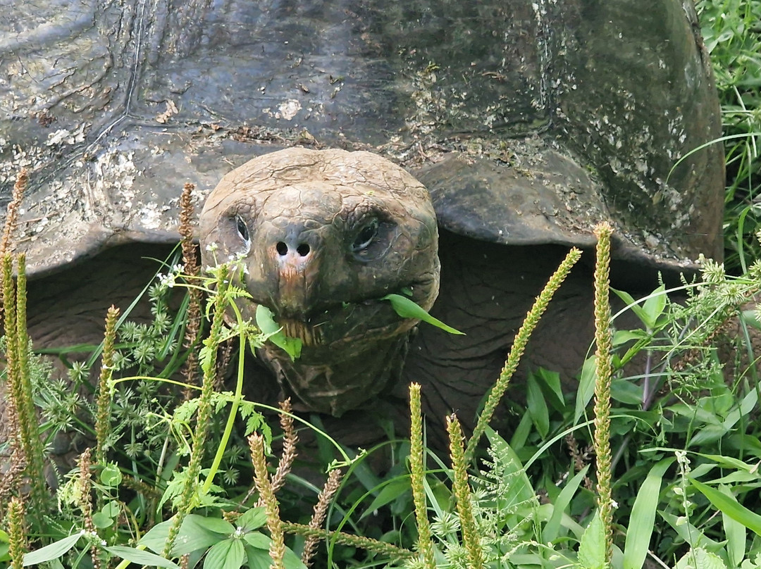 瑟米拉维尔德精品酒店主图