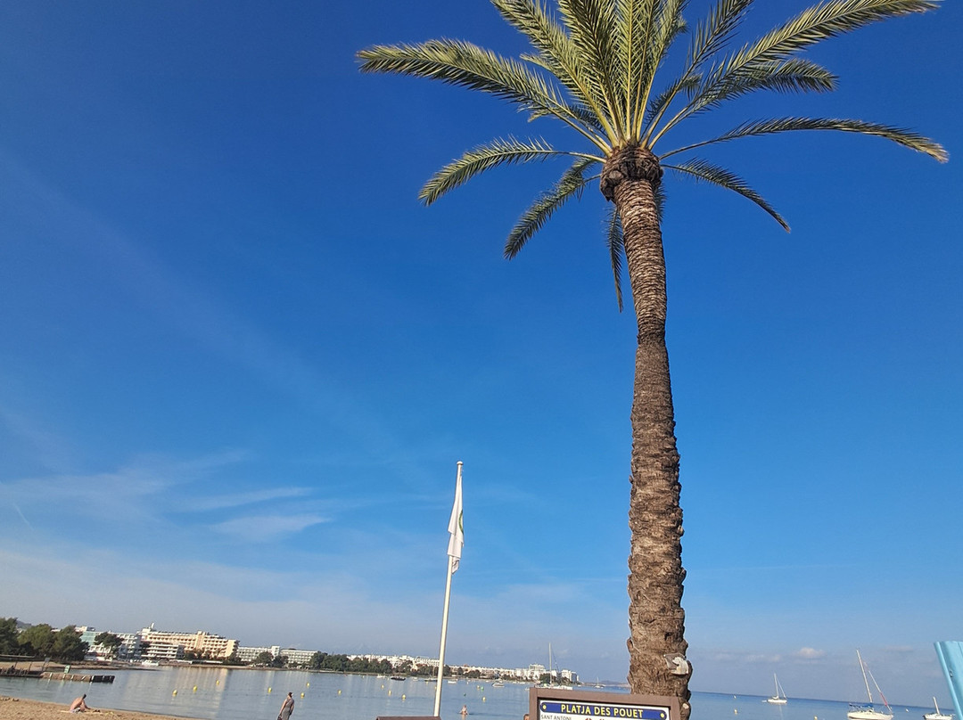 Platja Des Pouet-圣安东尼德波特曼尼必去景点