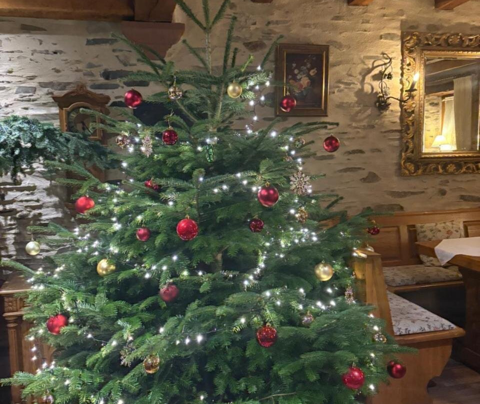 Fell酒店住宿-Hotel Landgasthof Simon