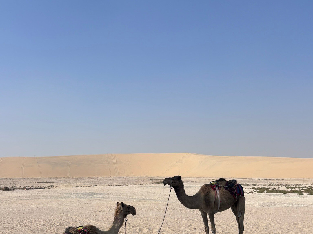 The Outpost Al Barari-Mesaieed必去景点