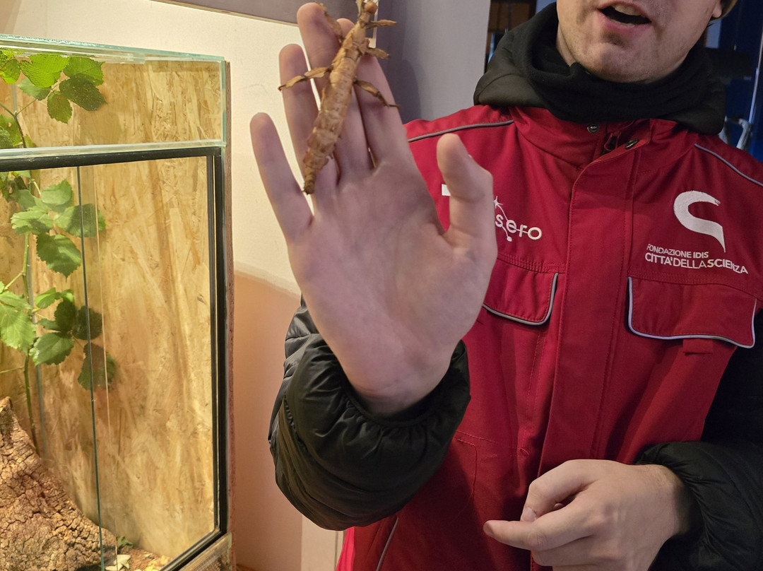 Citta Della Scienza-那不勒斯必去景点