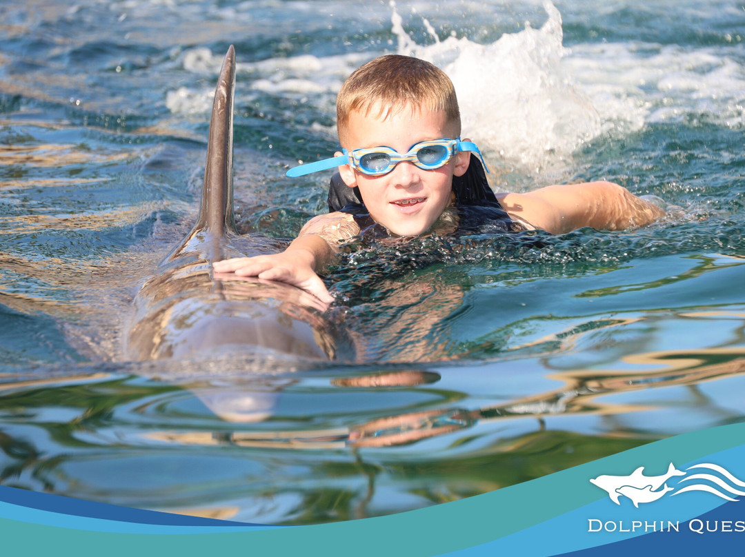 寻访海豚之旅-威可洛亚必去景点