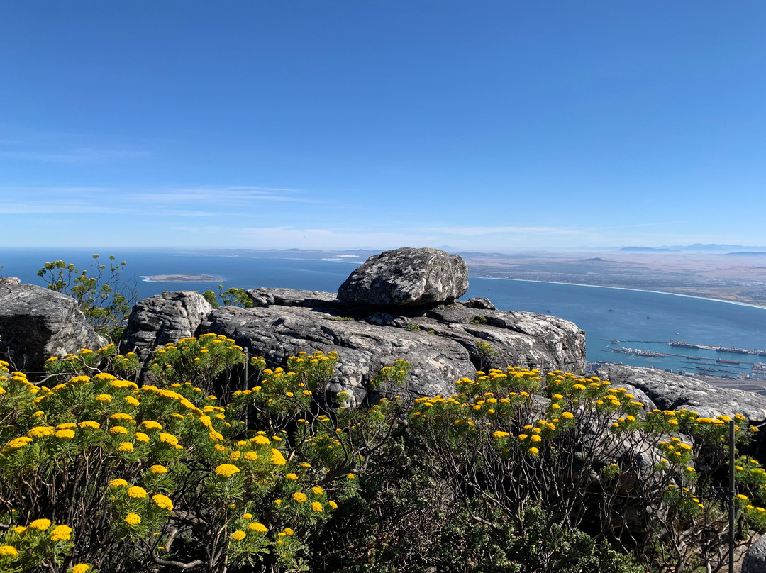 Explore the Cape Tours & Safaris-开普敦中心区必去景点