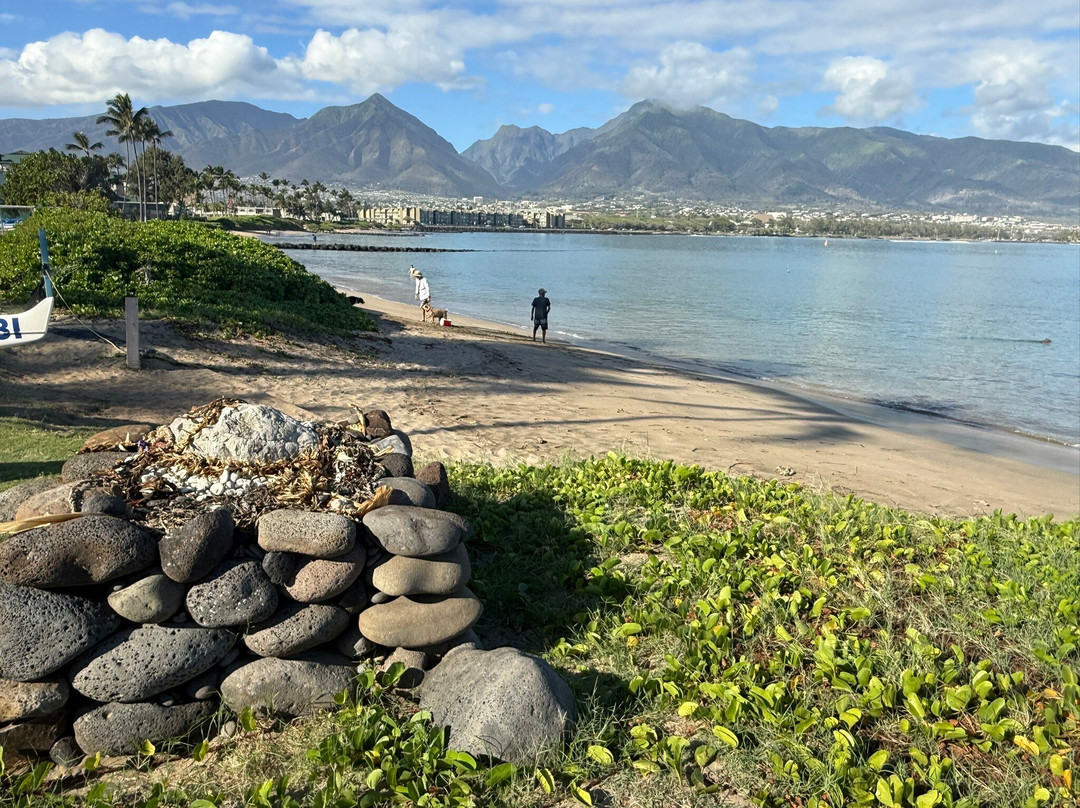Hoaloha Park-卡胡卢伊必去景点