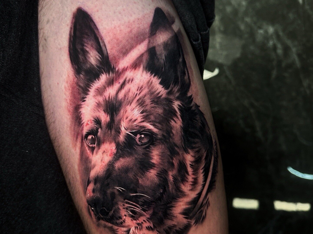 Vikings Tattoo Rhodes-罗德城必去景点