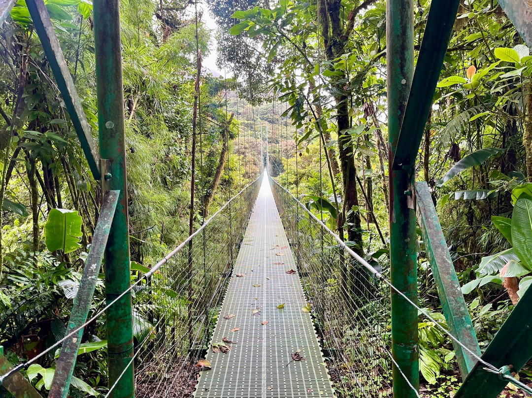 Best of Costa Rica DMC-圣何塞必去景点