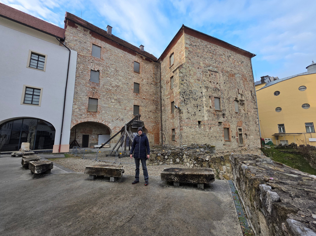 Pokrajinski muzej Celje-Celje必去景点