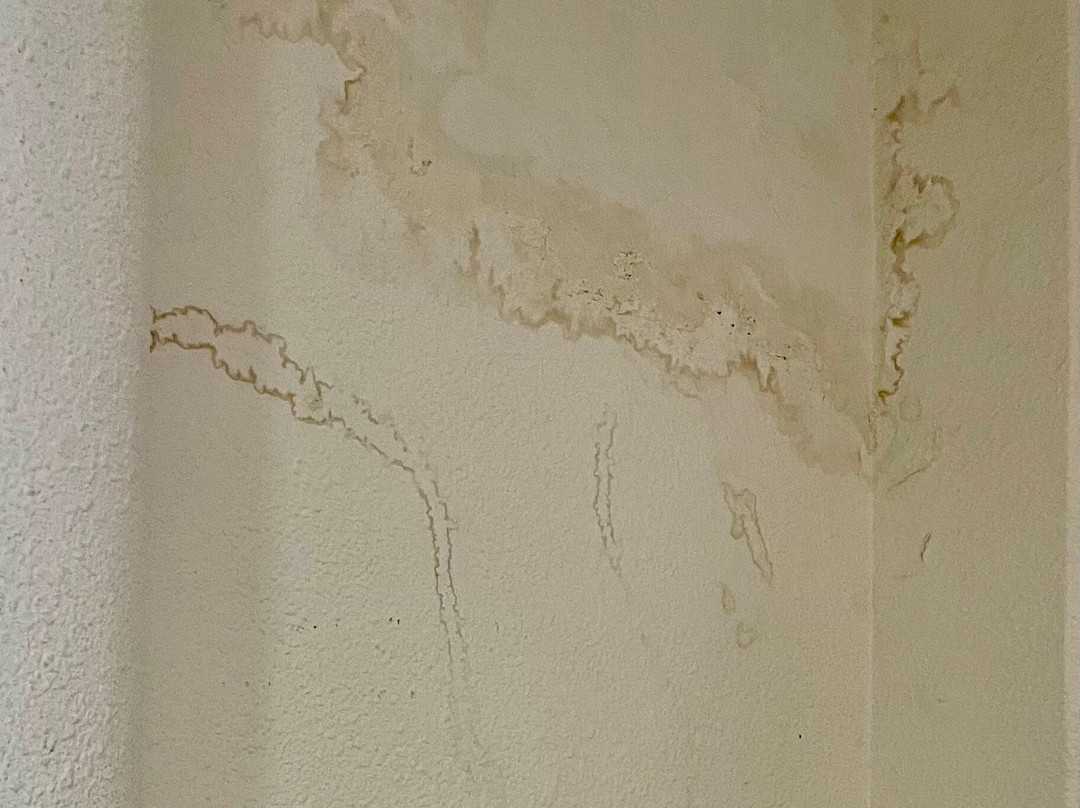 Treebo Trend Siddharth主图