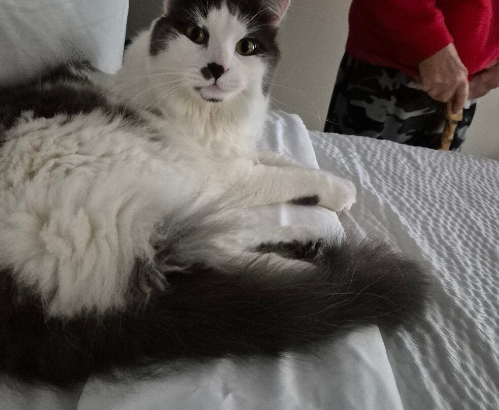 Red Roof Inn Paducah主图