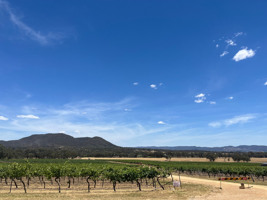 Lowe Wines-马奇必去景点