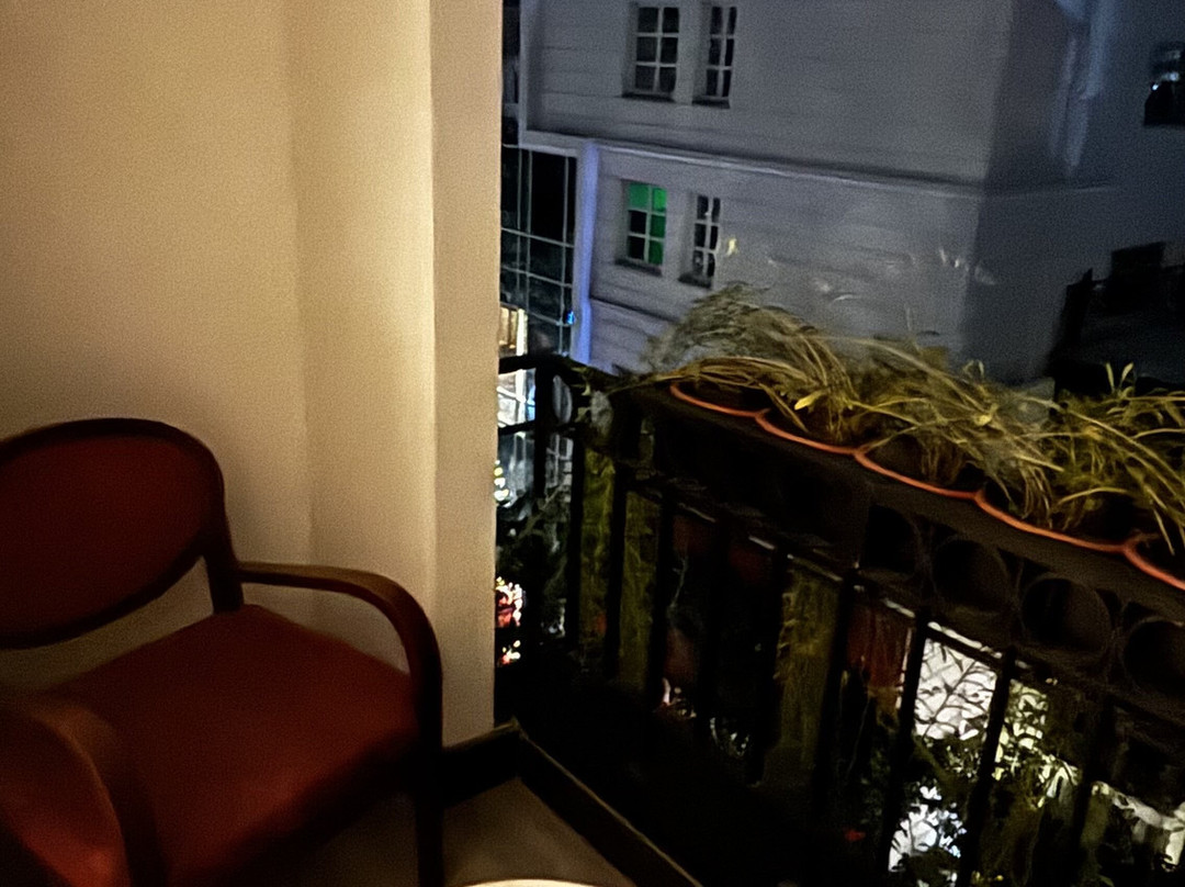 针叶树精品酒店主图