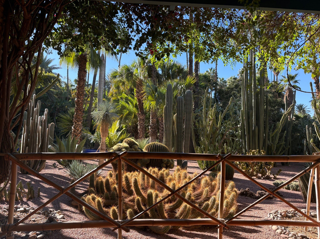 马若雷勒花园-马拉喀什必去景点