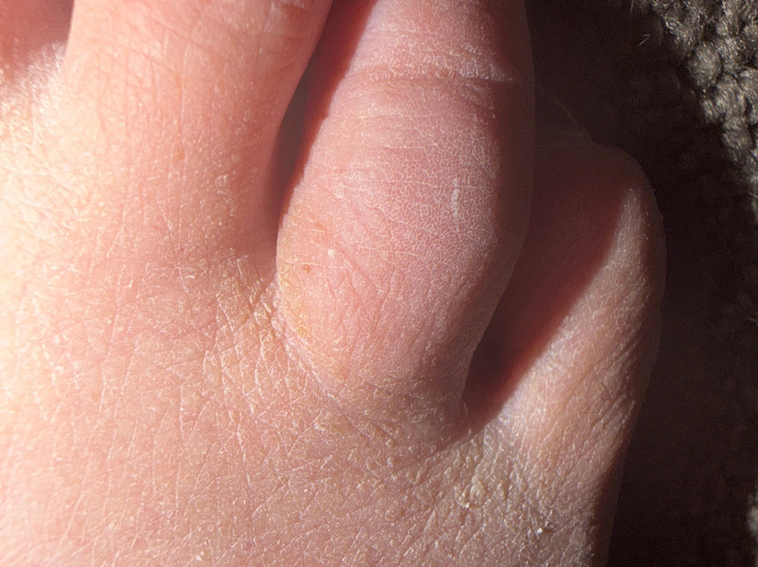 ICE! at Gaylord Rockies-奥罗拉必去景点