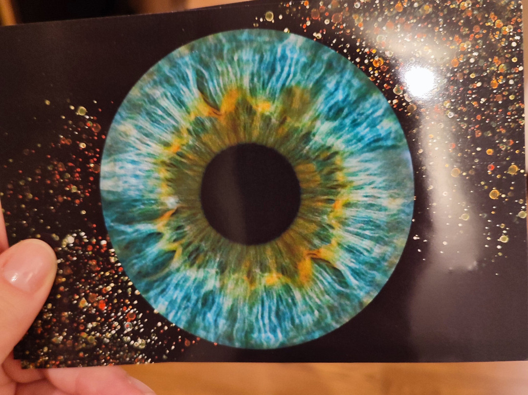 Smile Park at VDNH-莫斯科必去景点