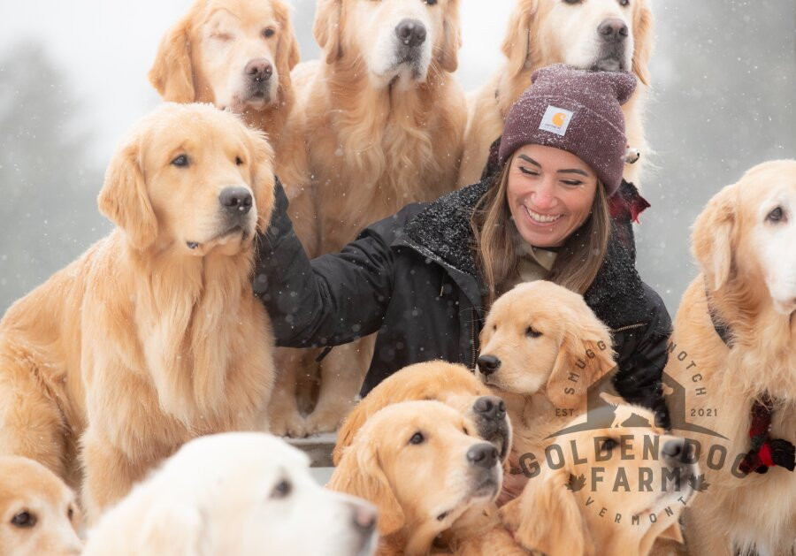 Golden Dog Farm-Jeffersonville必去景点