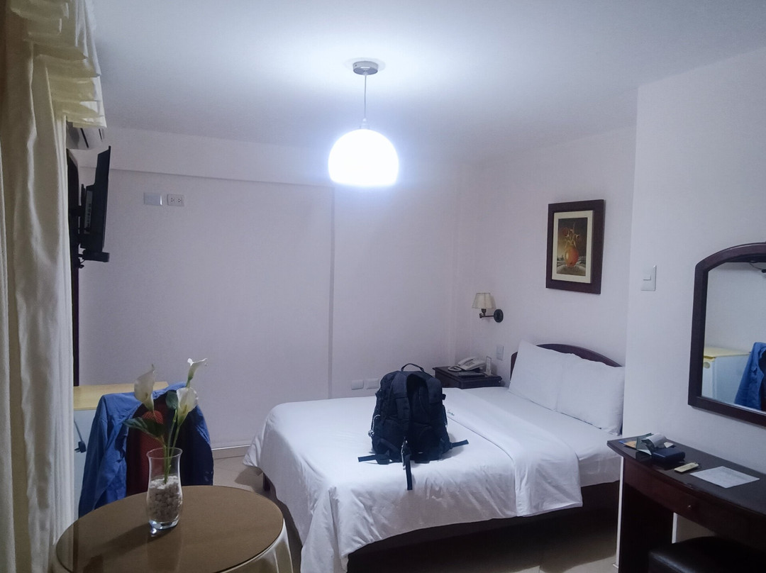 Hotel Torre Norte主图