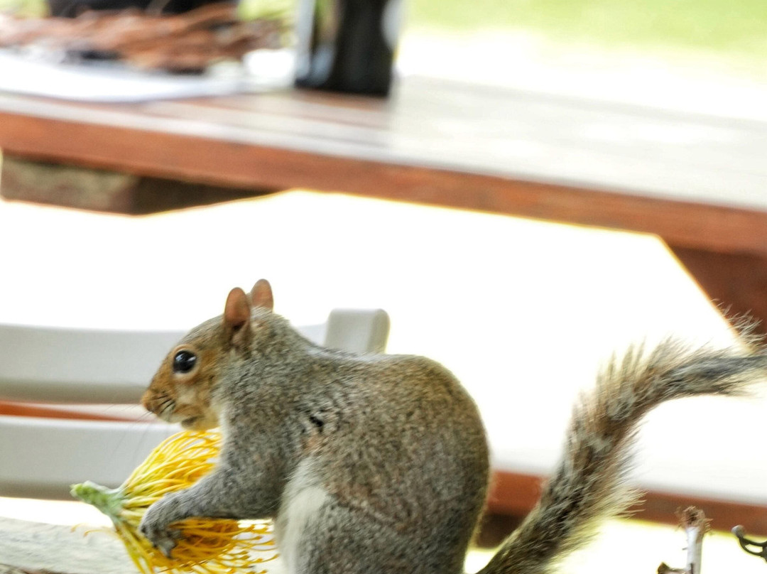 Eikehof-法兰舒克必去景点