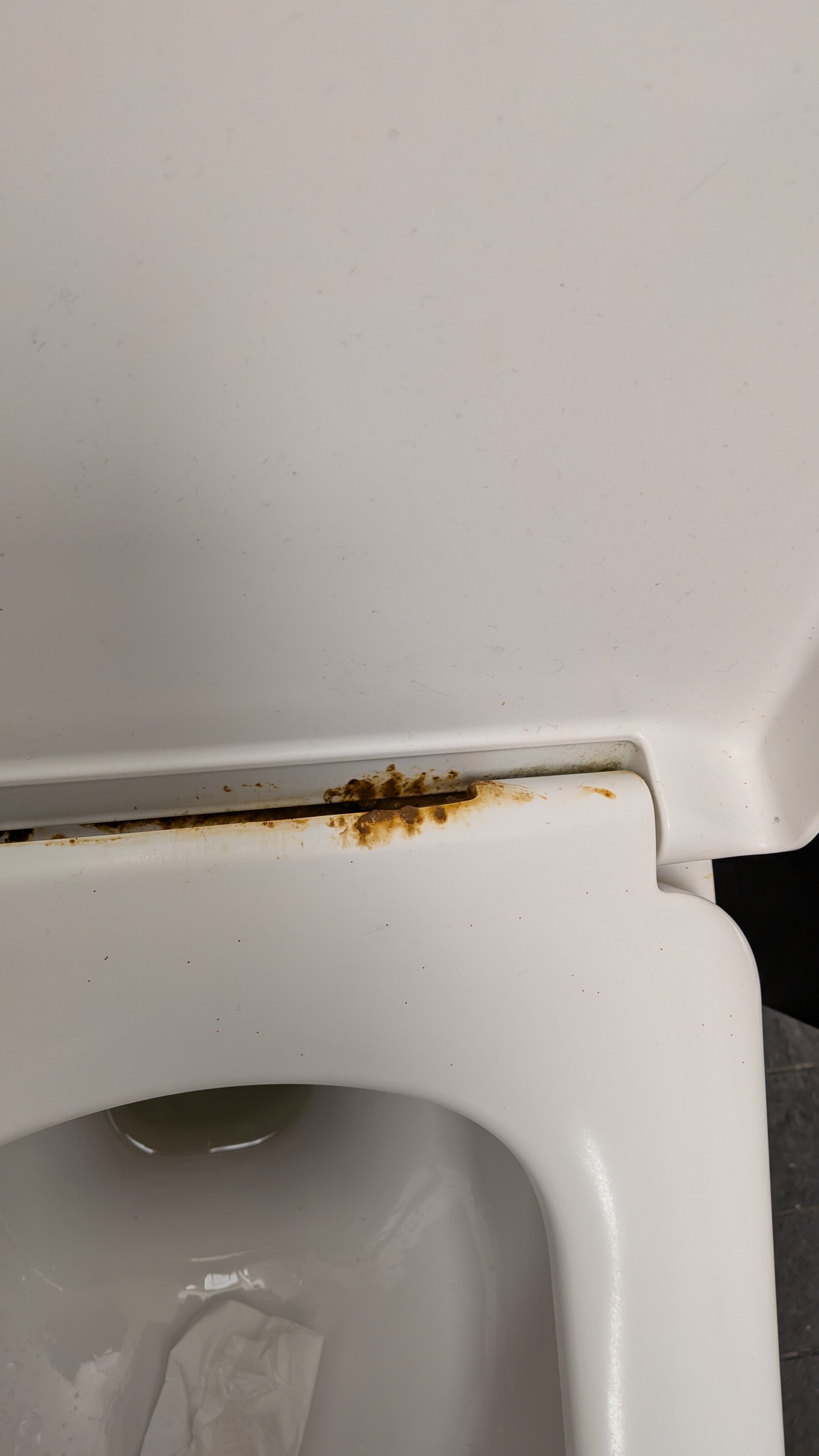 宜必思剑桥中央火车站酒店-官方