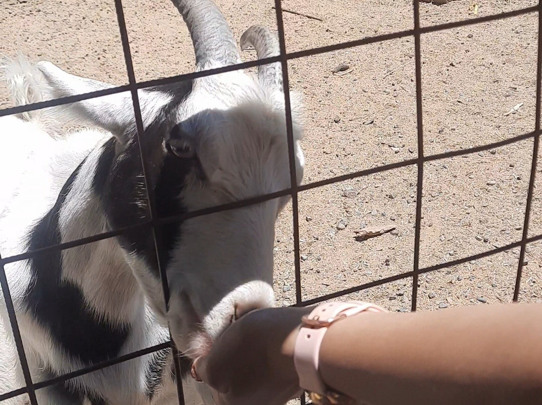 Granja Educativa De Lonquen-圣地亚哥必去景点