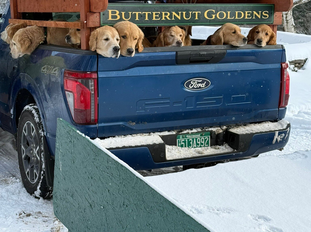 Golden Dog Farm-Jeffersonville必去景点