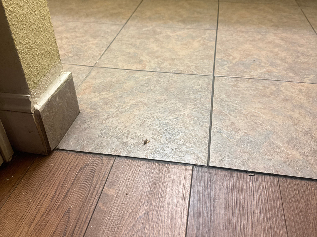 Quality Inn & Suites Statesboro主图