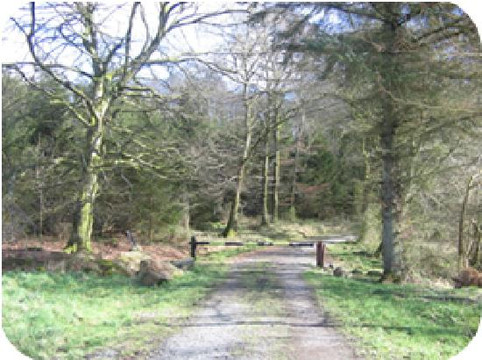 DawnMeadow Bed & Breakfast主图