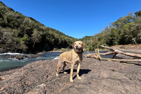 Cascata Salto do Rio Pardinho-Sinimbu必去景点