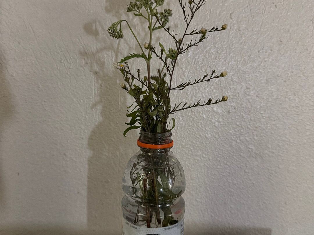 Motel 6 Morgantown, WV主图