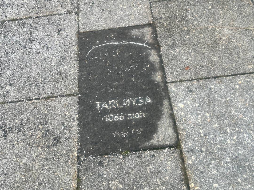 Andalsnes Tourist Information-安道尔尼斯必去景点