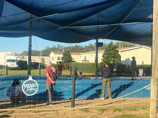 Southern Hill Farms-Clermont必去景点