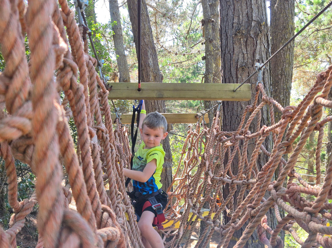 Acrobranch Garden Route-荒野必去景点