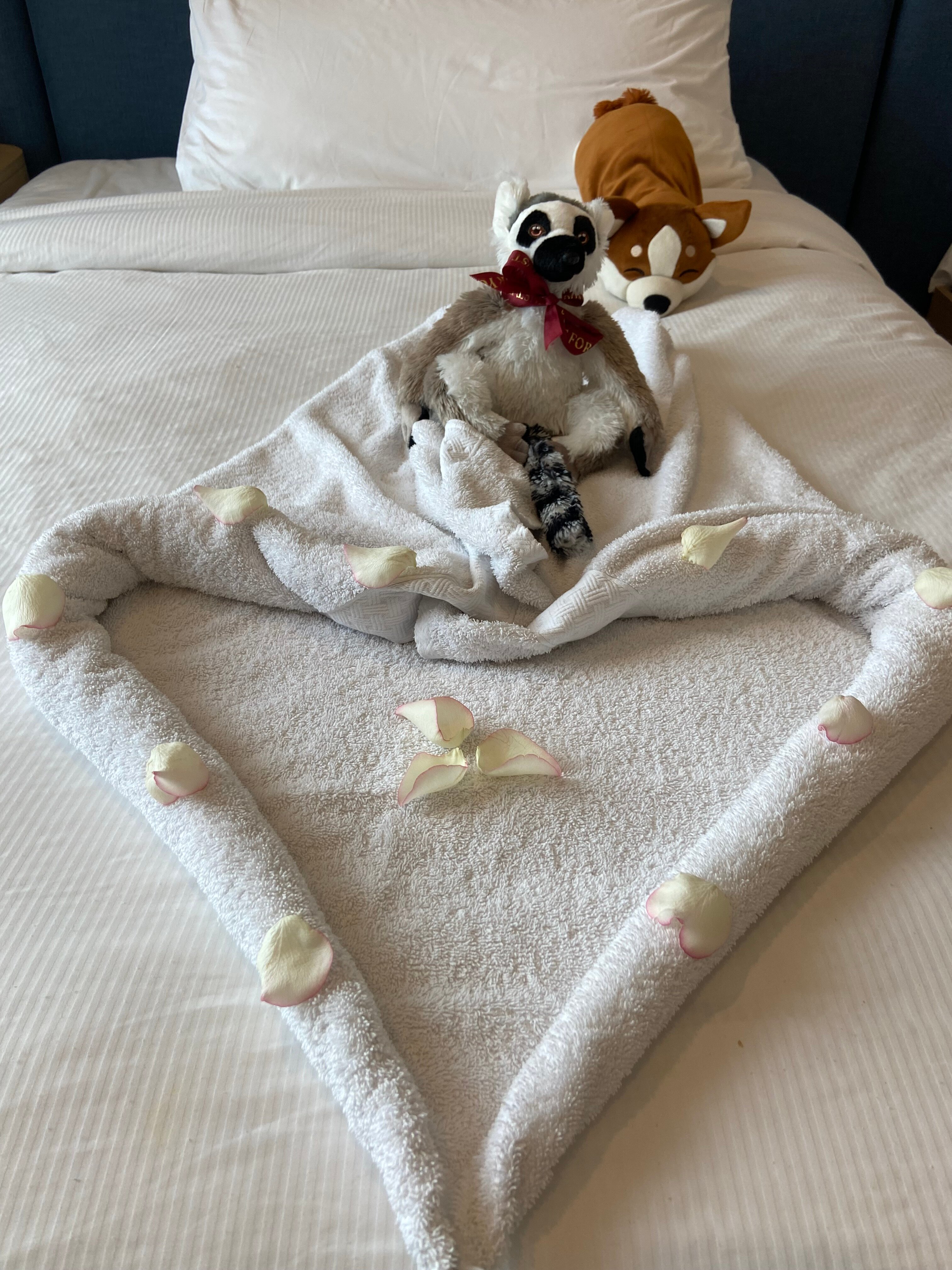 Hampton by Hilton Marjan Island-官方